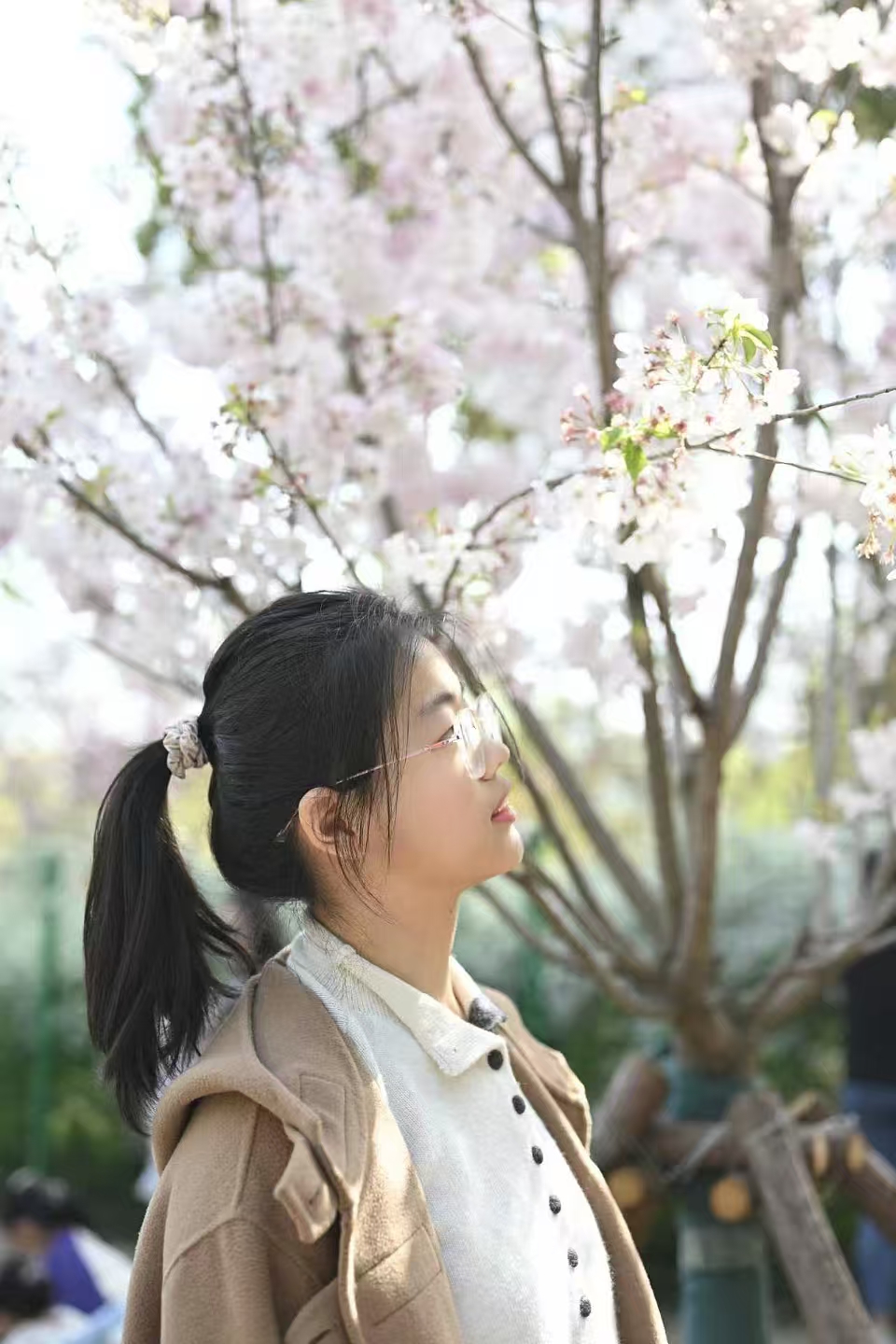 Jiatong Zhao